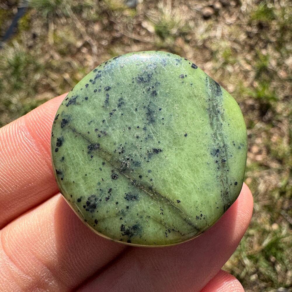 Canadian Jade Palm Stone Nephrite #3